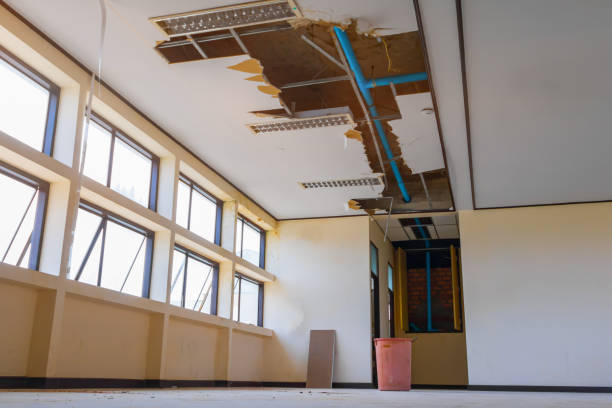 Best Water damage restoration near me  in Pine Mountain Lake, CA