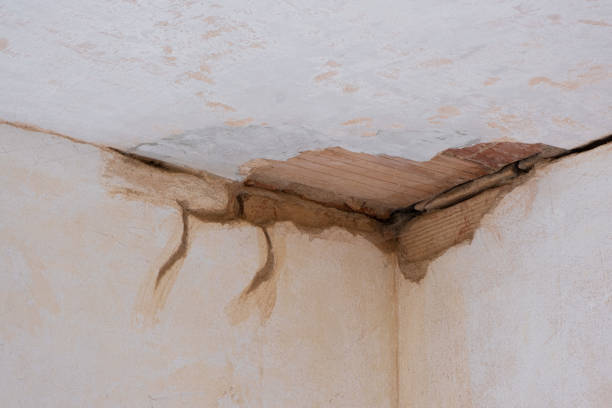 Best Water damage cleanup near me  in Pine Mountain Lake, CA