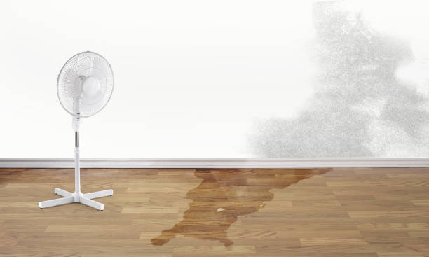  Pine Mountain Lake, CA Water damage restoration Pros